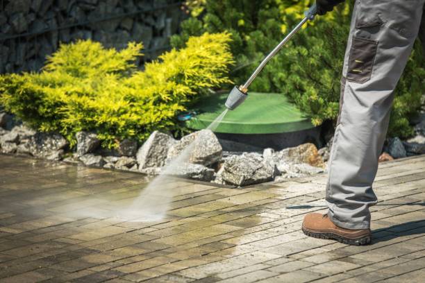 Best Fence Cleaning and Maintenance in Cortland, OH